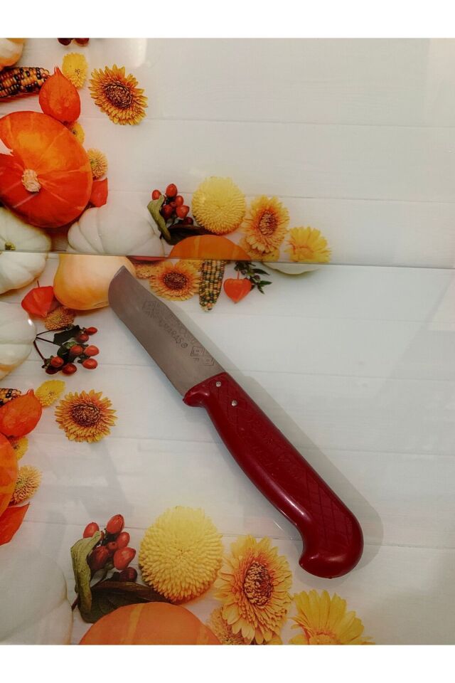 Kamptek Bıçak Meşhur Kahramanmaraş Mutfak Kasap Bıçağı Büyük Boy Kırmızı 23 cm