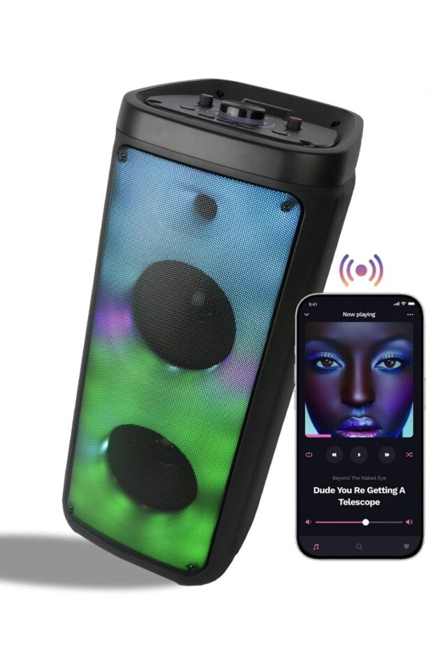 Büyük Boy 2*8 İnç Hoparlör Subwoofer Outdoor Dj Doğa Açık Alan Ses Sistemi Kumandalı Mikrafonlu