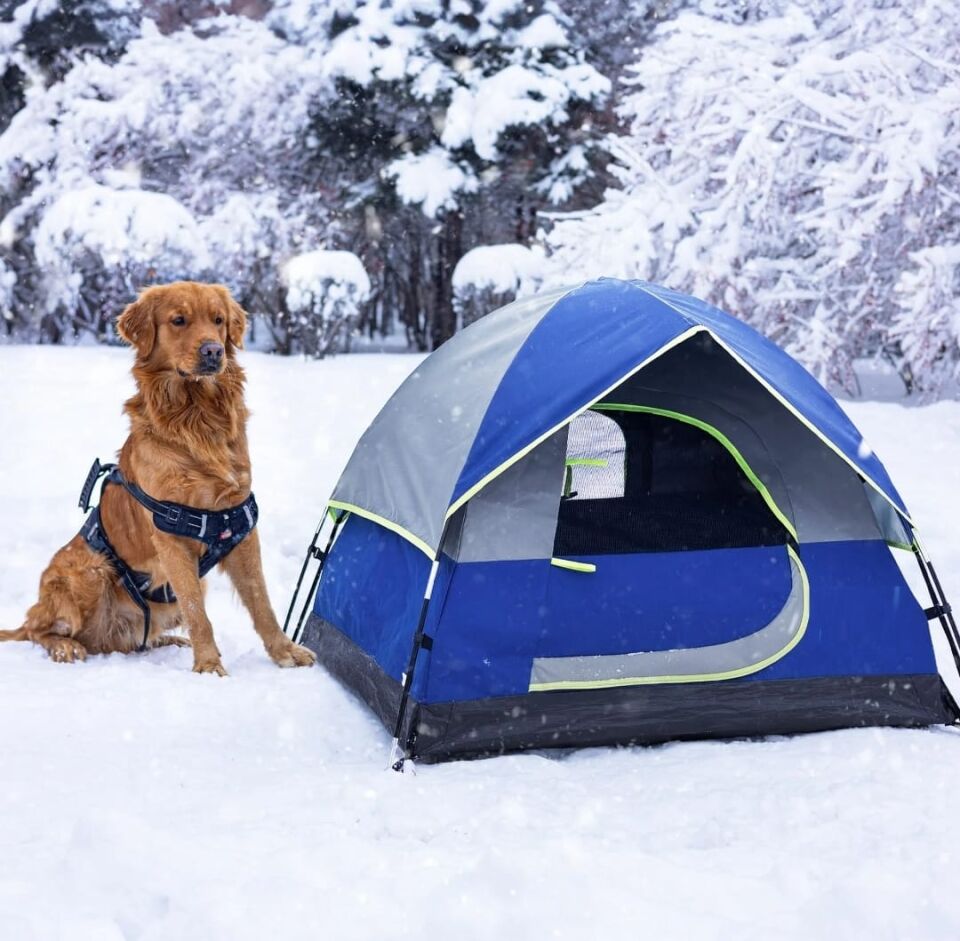 Kamptek Portatif Katlanabilir Evcil Hayvan Çadırı Büyük Boy (74x52x47 Cm)