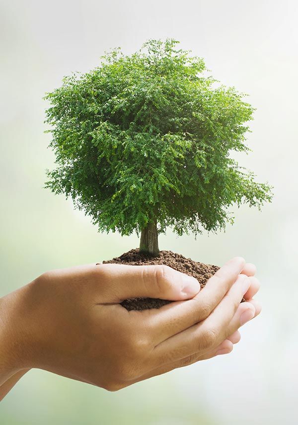 Kamptek® Kamptek Ahşap Doğaya Anlamlı Bir Katkı Sosyal Sorumluluk Projesi